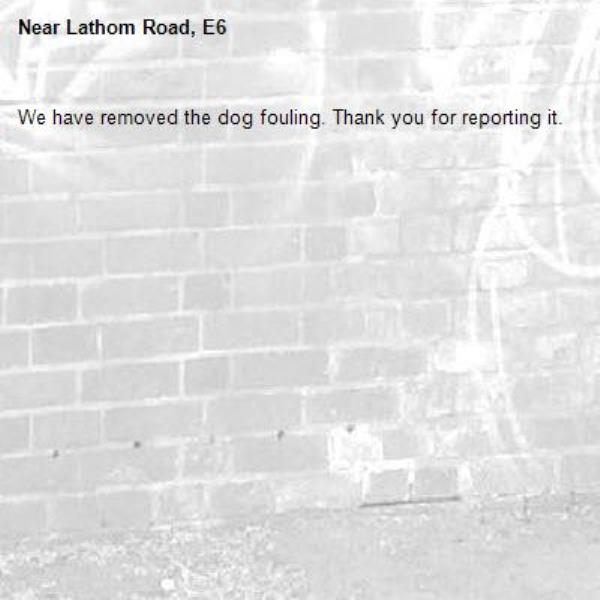 We have removed the dog fouling. Thank you for reporting it.-Lathom Road, E6