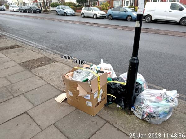 Domestic waste -21 Southend Lane, Downham, SE6 3AB, England, United Kingdom
