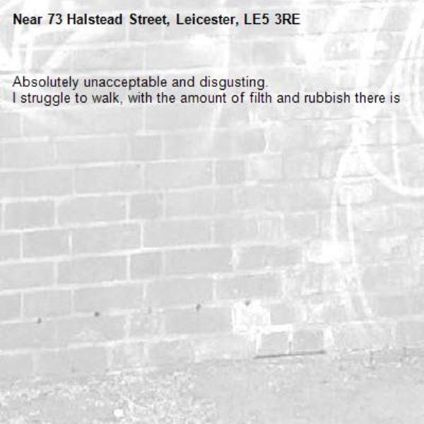 Absolutely unacceptable and disgusting.
I struggle to walk, with the amount of filth and rubbish there is-73 Halstead Street, Leicester, LE5 3RE