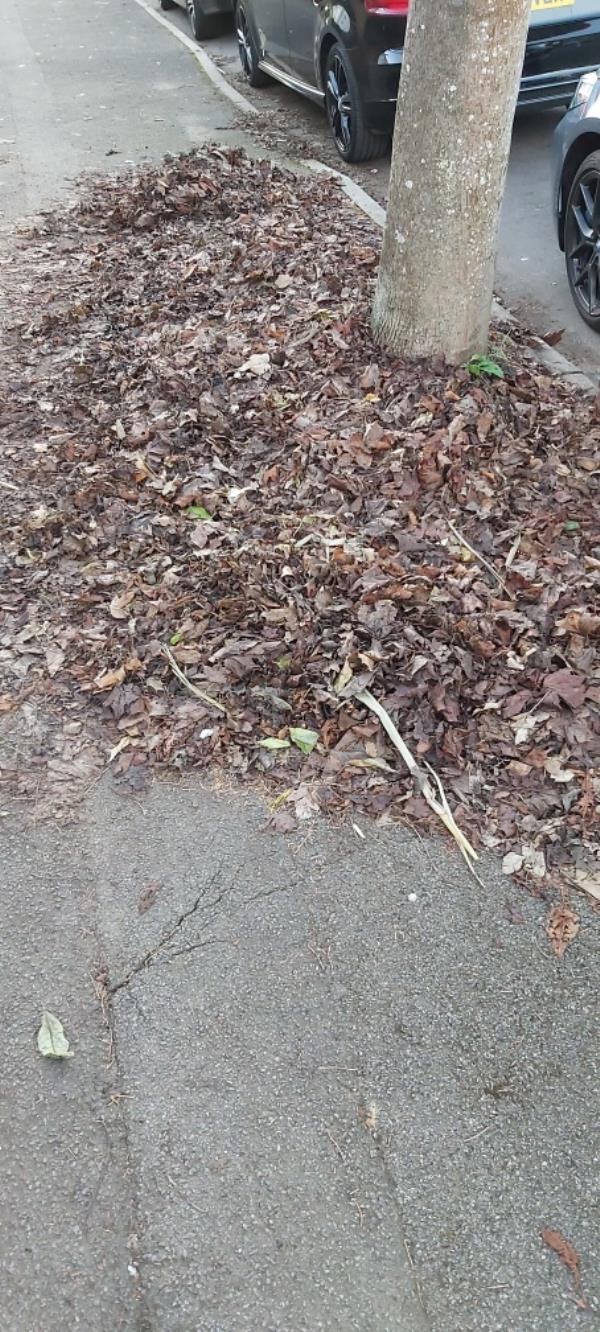 Leaf build up outside 11A Church Rd West and footpath outside 11 Church Road west leading up to Alexandra rd-7A Church Rd W, Farnborough GU14 6RS, UK