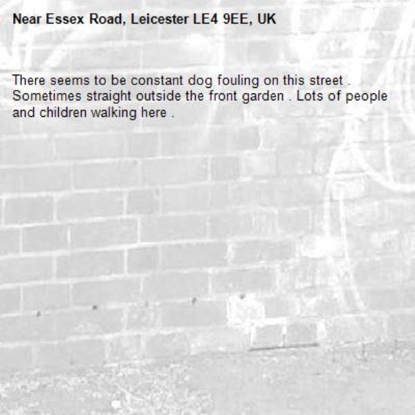 There seems to be constant dog fouling on this street . Sometimes straight outside the front garden . Lots of people and children walking here . -Essex Road, Leicester LE4 9EE, UK