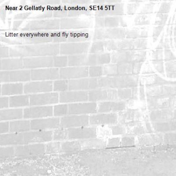 Litter everywhere and fly tipping -2 Gellatly Road, London, SE14 5TT
