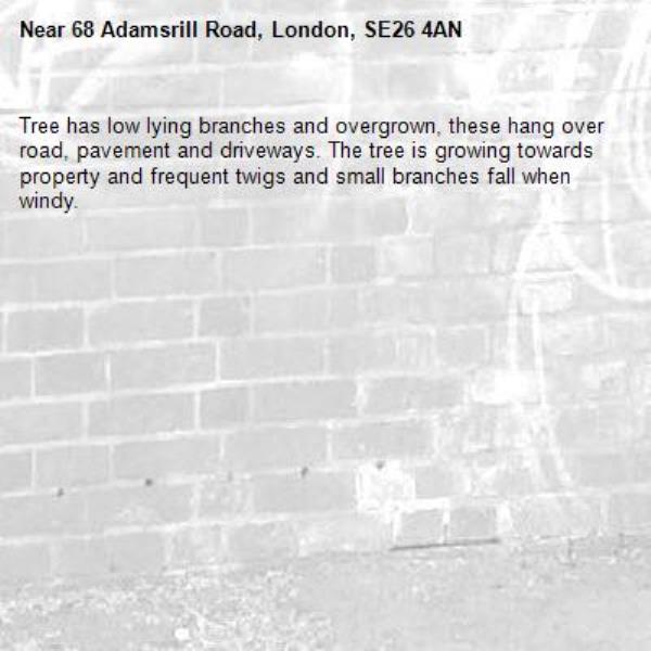 Tree has low lying branches and overgrown, these hang over road, pavement and driveways. The tree is growing towards property and frequent twigs and small branches fall when windy. -68 Adamsrill Road, London, SE26 4AN