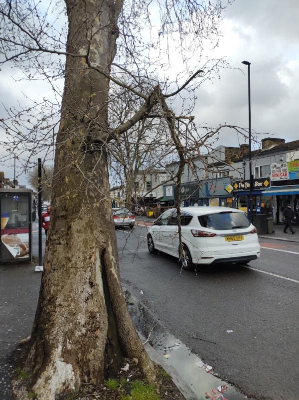 Tree banch down outside 547 Barking Road E13-545A, Barking Road, Plaistow, London, E13 9EZ