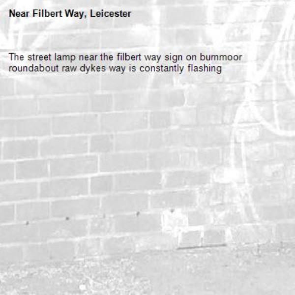 The street lamp near the filbert way sign on burnmoor roundabout raw dykes way is constantly flashing -Filbert Way, Leicester
