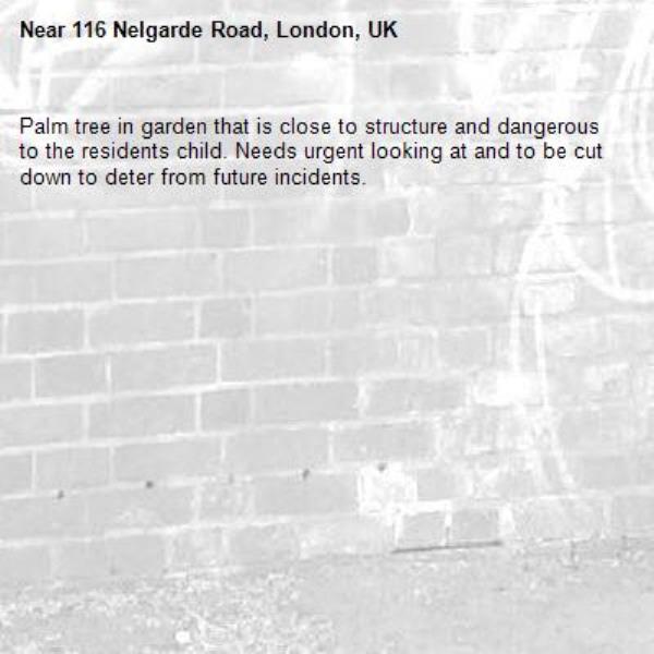 Palm tree in garden that is close to structure and dangerous to the residents child. Needs urgent looking at and to be cut down to deter from future incidents.-116 Nelgarde Road, London, UK