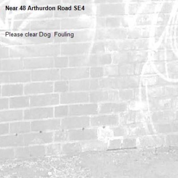 Please clear Dog  Fouling 
-48 Arthurdon Road SE4