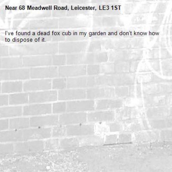 I’ve found a dead fox cub in my garden and don’t know how to dispose of it. -68 Meadwell Road, Leicester, LE3 1ST