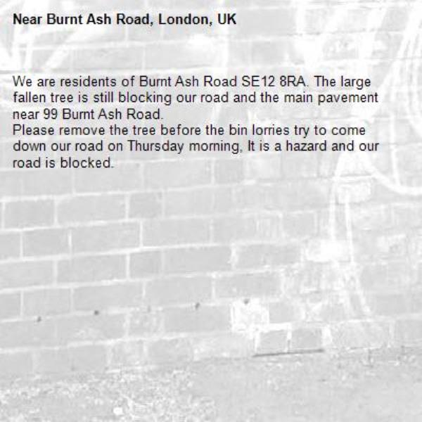 We are residents of Burnt Ash Road SE12 8RA. The large fallen tree is still blocking our road and the main pavement near 99 Burnt Ash Road.
Please remove the tree before the bin lorries try to come down our road on Thursday morning, It is a hazard and our road is blocked.-99 Burnt Ash Road, London SE12 8RA, UK