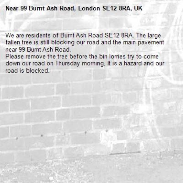 We are residents of Burnt Ash Road SE12 8RA. The large fallen tree is still blocking our road and the main pavement near 99 Burnt Ash Road.
Please remove the tree before the bin lorries try to come down our road on Thursday morning, It is a hazard and our road is blocked.-99 Burnt Ash Road, London SE12 8RA, UK