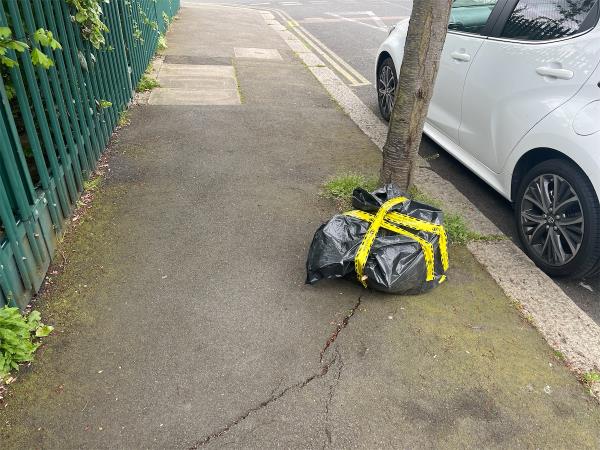 Black bag filled with garden waste to please be removed -102 Birkhall Road, Catford, London, SE6 1TD