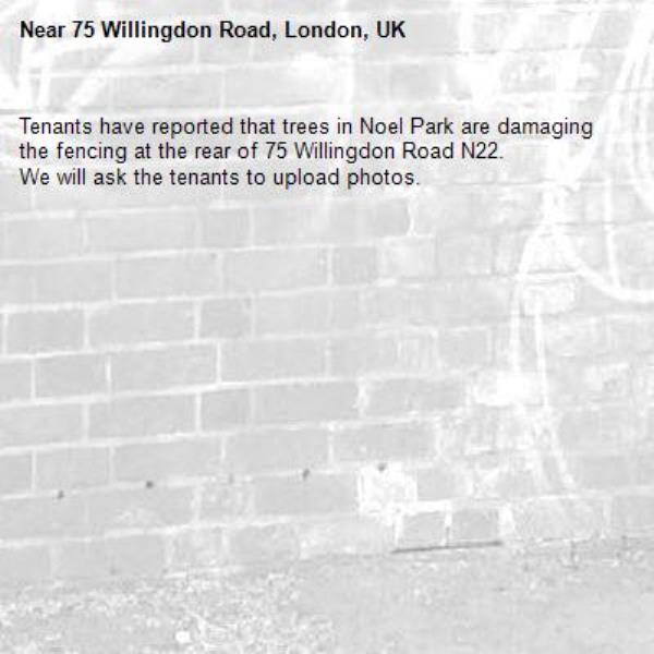 Tenants have reported that trees in Noel Park are damaging the fencing at the rear of 75 Willingdon Road N22.
We will ask the tenants to upload photos.-75 Willingdon Road, London, UK