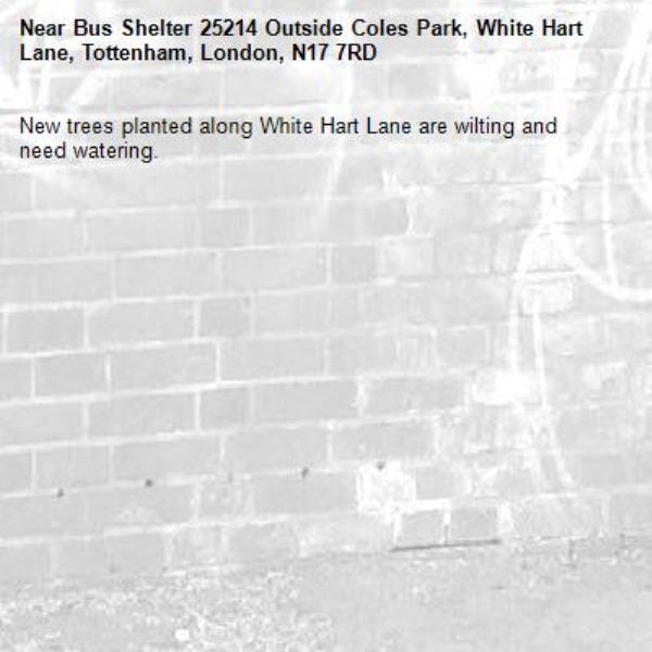 New trees planted along White Hart Lane are wilting and need watering.-Bus Shelter 25214 Outside Coles Park, White Hart Lane, Tottenham, London, N17 7RD
