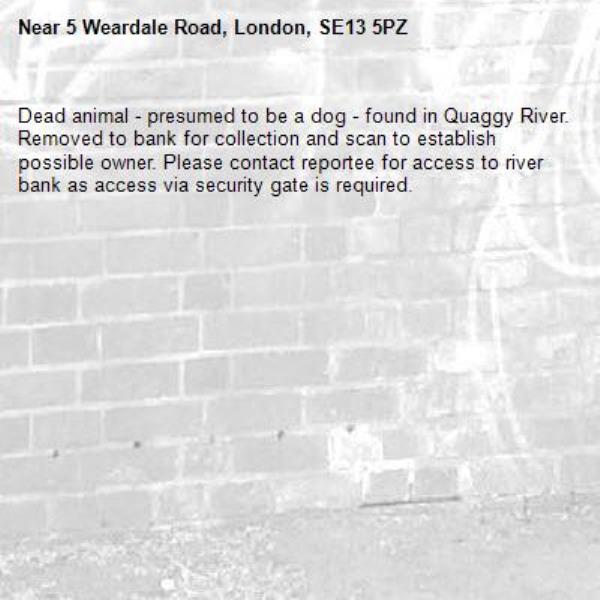 Dead animal - presumed to be a dog - found in Quaggy River. Removed to bank for collection and scan to establish possible owner. Please contact reportee for access to river bank as access via security gate is required. -5 Weardale Road, London, SE13 5PZ