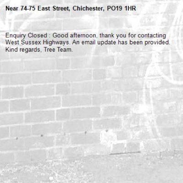 Enquiry Closed : Good afternoon, thank you for contacting West Sussex Highways. An email update has been provided. Kind regards, Tree Team. -74-75 East Street, Chichester, PO19 1HR
