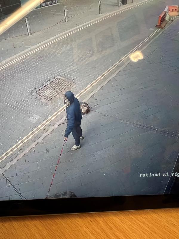 Constant dogs fouling around Rutland Street area for the past year now and is not being picked up by owner. This is unacceptable please cans something be done about this immediately.-41 Rutland Street, Leicester, LE1 1RE