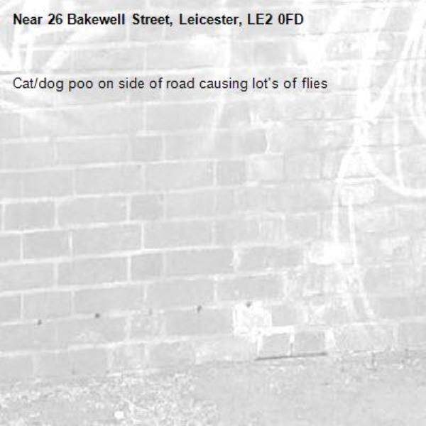 Cat/dog poo on side of road causing lot's of flies-26 Bakewell Street, Leicester, LE2 0FD
