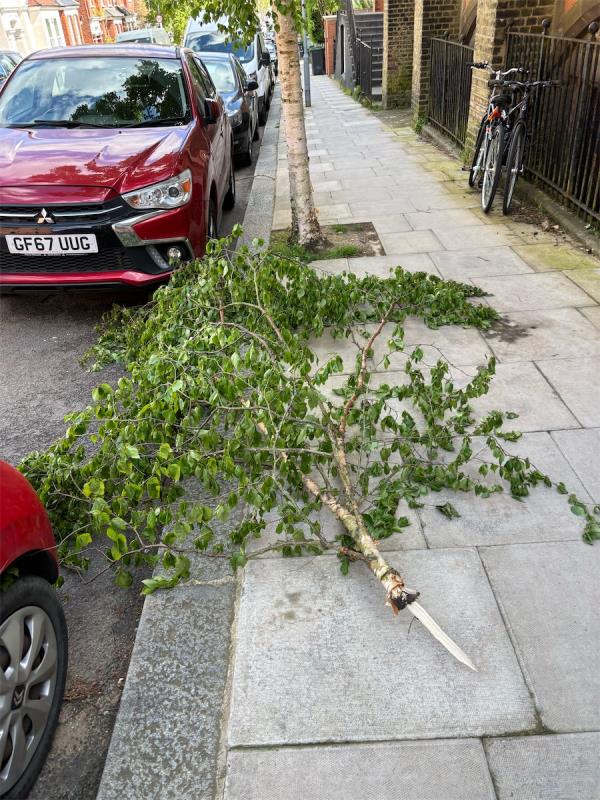 Damaged tree branch on the footpath on Langdon Park Road N6 along the side of St. Augustine’s church.-Flat 1, 74 Langdon Park Road, Hornsey, London, N6 5PY
