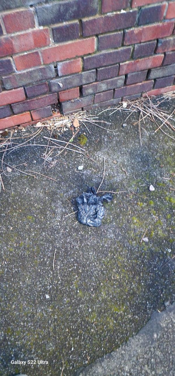 Dog bags containing dog foul being thrown along walk through, person captured on cctv doing this. Available for viewing -7 Withens Close, Leicester, LE3 6QN