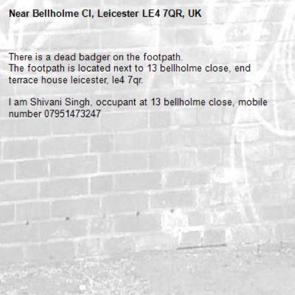 There is a dead badger on the footpath. 
The footpath is located next to 13 bellholme close, end terrace house leicester, le4 7qr.

I am Shivani Singh, occupant at 13 bellholme close, mobile number 07951473247-Bellholme Cl, Leicester LE4 7QR, UK