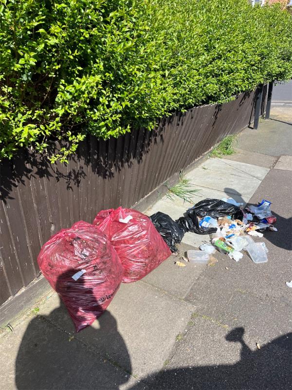 Bags of rubbish in the street -150A, Laleham Road, London, SE6 2AD