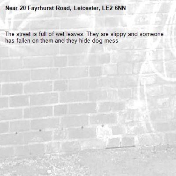 The street is full of wet leaves. They are slippy and someone has fallen on them and they hide dog mess-20 Fayrhurst Road, Leicester, LE2 6NN