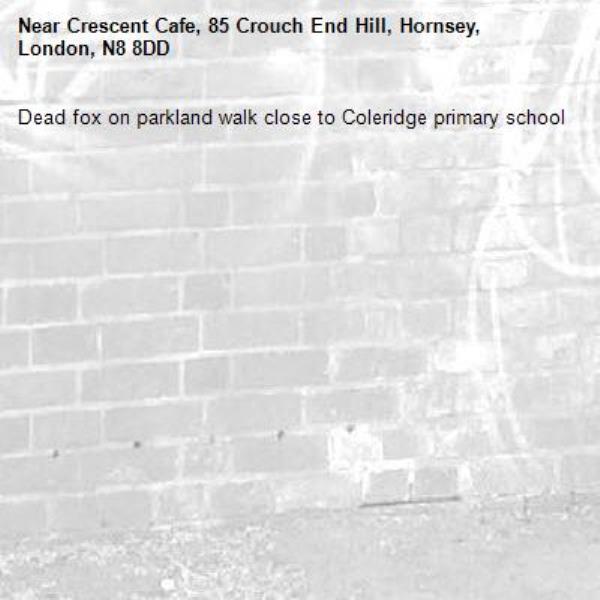 Dead fox on parkland walk close to Coleridge primary school-Crescent Cafe, 85 Crouch End Hill, Hornsey, London, N8 8DD