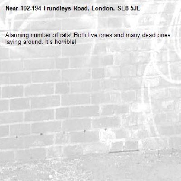 Alarming number of rats! Both live ones and many dead ones laying around. It’s horrible!-192-194 Trundleys Road, London, SE8 5JE