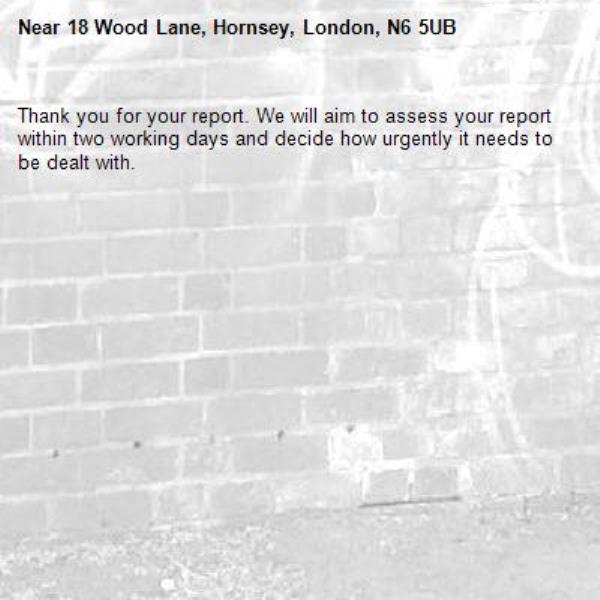 Thank you for your report. We will aim to assess your report within two working days and decide how urgently it needs to be dealt with.-18 Wood Lane, Hornsey, London, N6 5UB