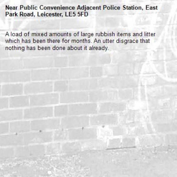 A load of mixed amounts of large rubbish items and litter which has been there for months. An utter disgrace that nothing has been done about it already.-Public Convenience Adjacent Police Station, East Park Road, Leicester, LE5 5FD