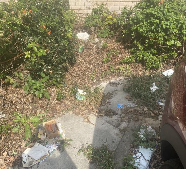 All this is in car park area. revious report job number:3083434<br/>Report states closed as obviously cleared of rubbish by street cleaners. Either your street cleaners are bad sighted or they are saying they have cleared to you but not actually completed the job-61 Caswell close 