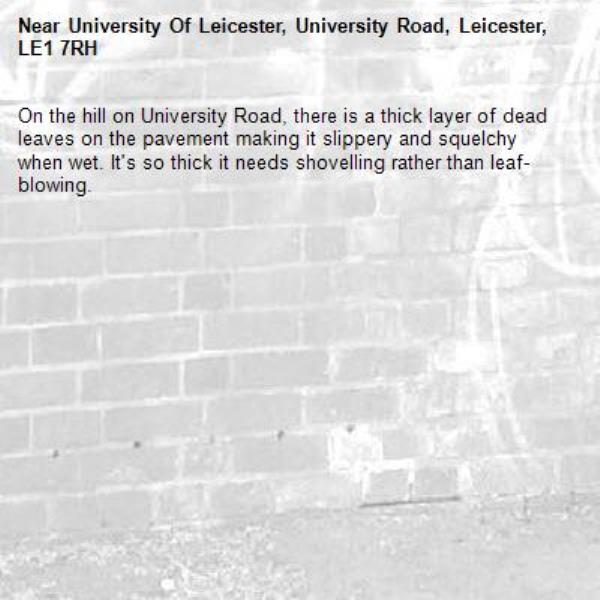 On the hill on University Road, there is a thick layer of dead leaves on the pavement making it slippery and squelchy when wet. It&#39;s so thick it needs shovelling rather than leaf-blowing. -University Of Leicester, University Road, Leicester, LE1 7RH