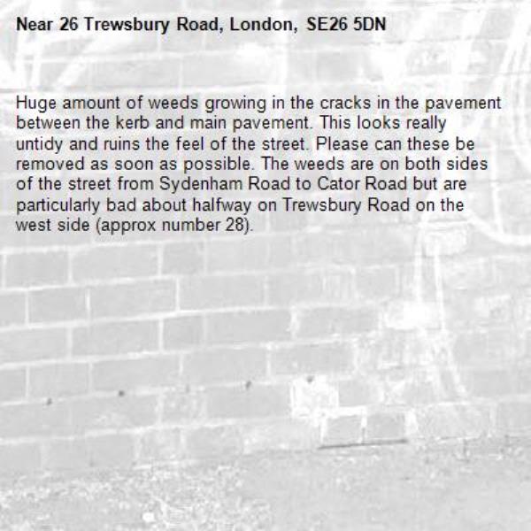 Huge amount of weeds growing in the cracks in the pavement between the kerb and main pavement. This looks really untidy and ruins the feel of the street. Please can these be removed as soon as possible. The weeds are on both sides of the street from Sydenham Road to Cator Road but are particularly bad about halfway on Trewsbury Road on the west side (approx number 28).-26 Trewsbury Road, London, SE26 5DN