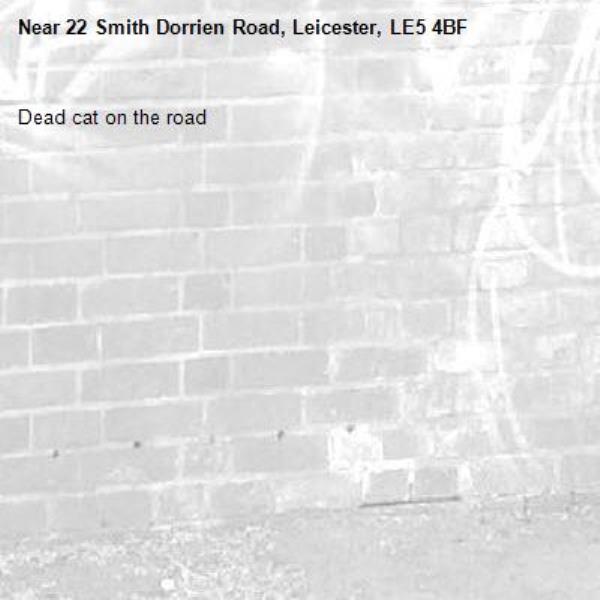 Dead cat on the road-22 Smith Dorrien Road, Leicester, LE5 4BF