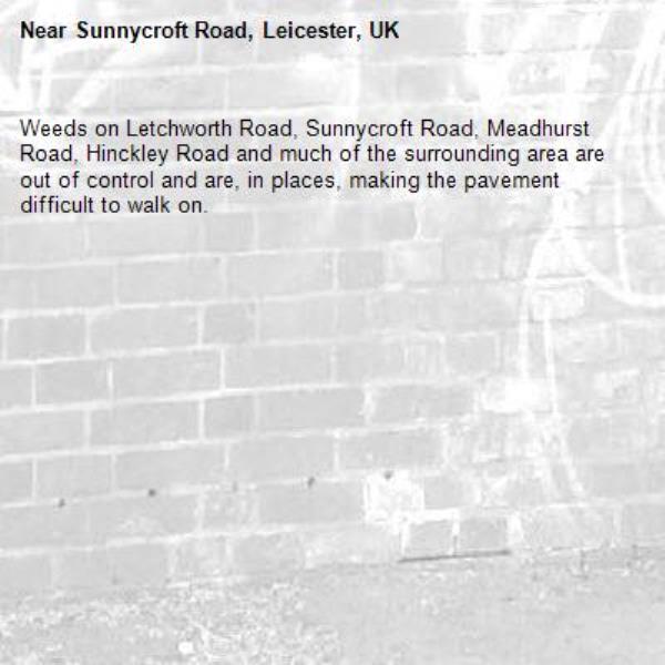 Weeds on Letchworth Road, Sunnycroft Road, Meadhurst Road, Hinckley Road and much of the surrounding area are out of control and are, in places, making the pavement difficult to walk on.-Sunnycroft Road, Leicester, UK