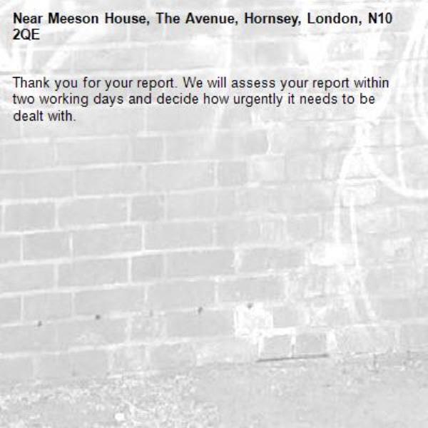 Thank you for your report. We will assess your report within two working days and decide how urgently it needs to be dealt with.-Meeson House, The Avenue, Hornsey, London, N10 2QE