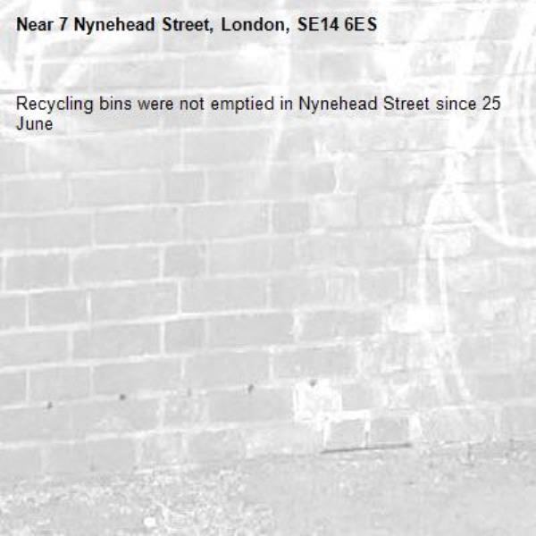 Recycling bins were not emptied in Nynehead Street since 25 June -7 Nynehead Street, London, SE14 6ES