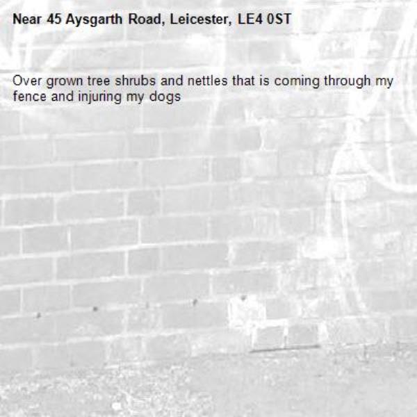 Over grown tree shrubs and nettles that is coming through my fence and injuring my dogs -45 Aysgarth Road, Leicester, LE4 0ST