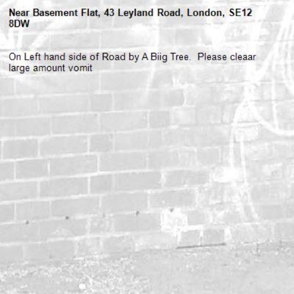 On Left hand side of Road by A Biig Tree.  Please cleaar large amount vomit
-Basement Flat, 43 Leyland Road, London, SE12 8DW