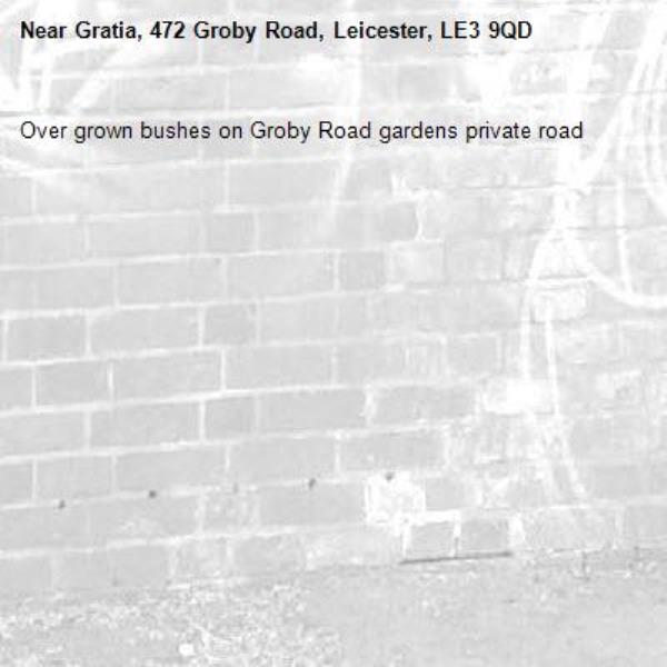Over grown bushes on Groby Road gardens private road -Gratia, 472 Groby Road, Leicester, LE3 9QD