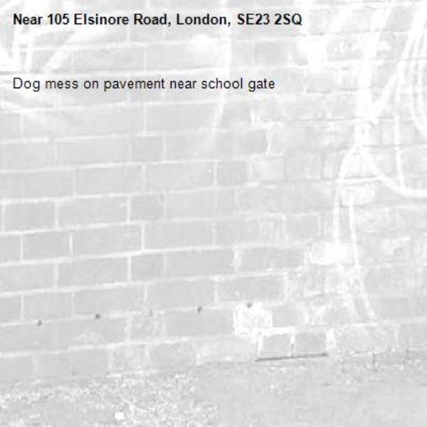 Dog mess on pavement near school gate -105 Elsinore Road, London, SE23 2SQ