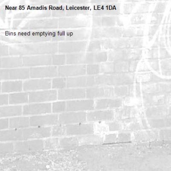 Bins need emptying full up-85 Amadis Road, Leicester, LE4 1DA