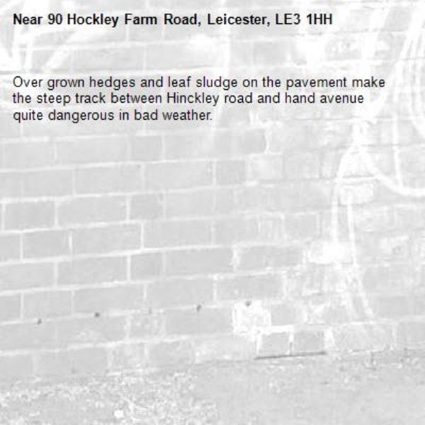 Over grown hedges and leaf sludge on the pavement make the steep track between Hinckley road and hand avenue quite dangerous in bad weather.-90 Hockley Farm Road, Leicester, LE3 1HH