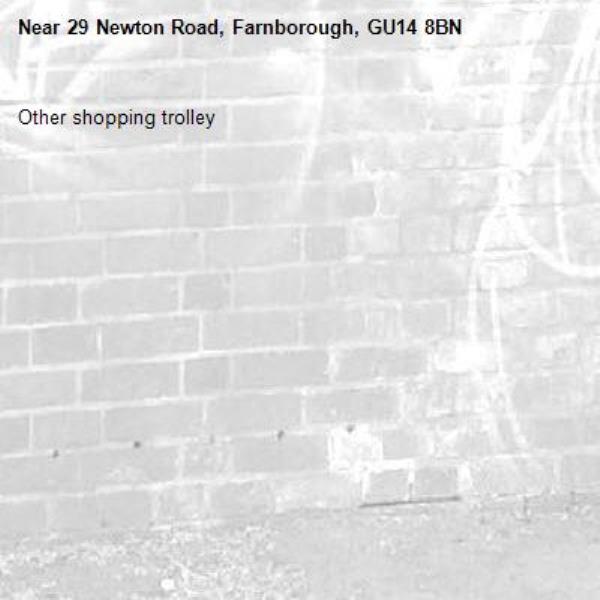 Other shopping trolley-29 Newton Road, Farnborough, GU14 8BN