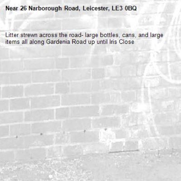 Litter strewn across the road- large bottles, cans, and large items all along Gardenia Road up until Iris Close-26 Narborough Road, Leicester, LE3 0BQ