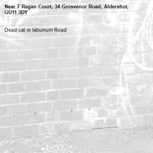 Dead cat in laburnum Road -7 Ragan Court, 34 Grosvenor Road, Aldershot, GU11 3DY