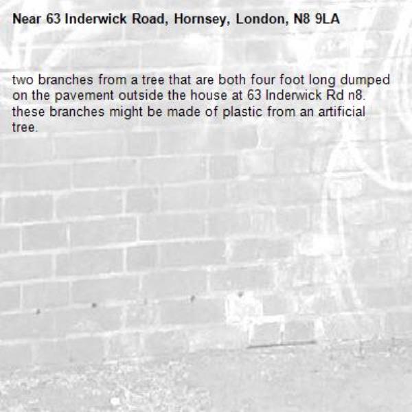two branches from a tree that are both four foot long dumped on the pavement outside the house at 63 Inderwick Rd n8. these branches might be made of plastic from an artificial tree.  -63 Inderwick Road, Hornsey, London, N8 9LA