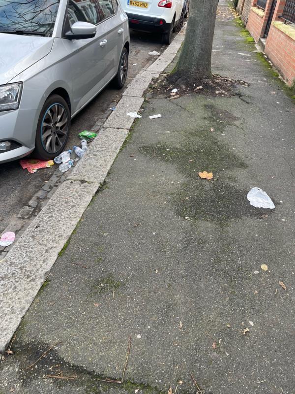 The street has not been cleaned despite you sending me confirmation that it has. I can still see the rubbish outside my house. Please sweep the street. Thank you. -10 Westbury Terrace, Green Street West, E7 8BY, England, United Kingdom