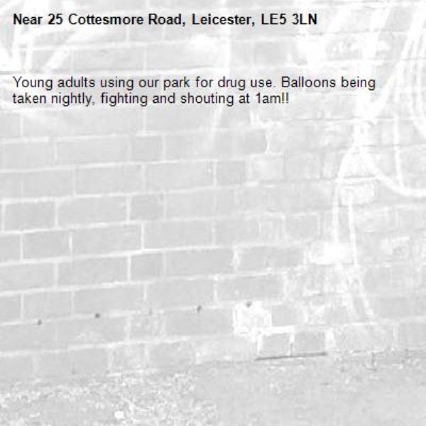 Young adults using our park for drug use. Balloons being taken nightly, fighting and shouting at 1am!!-25 Cottesmore Road, Leicester, LE5 3LN