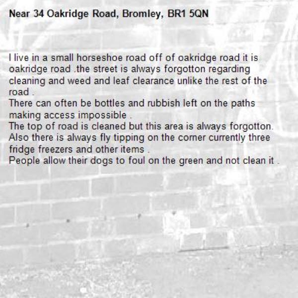 I live in a small horseshoe road off of oakridge road it is oakridge road .the street is always forgotton regarding cleaning and weed and leaf clearance unlike the rest of the road .
There can often be bottles and rubbish left on the paths making access impossible .
The top of road is cleaned but this area is always forgotton.
Also there is always fly tipping on the corner currently three fridge freezers and other items .
People allow their dogs to foul on the green and not clean it . -34 Oakridge Road, Bromley, BR1 5QN